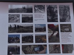 Yacimiento de la Almoloya 2023